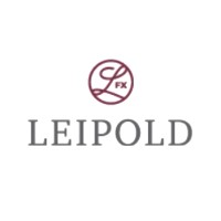 Leipold International logo - Similar company to Ibes Ag