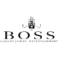 Boss Luxury Home Entertainment