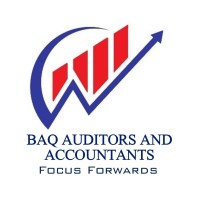 BAQ Auditors and Accountants logo - Similar company to Fc Expert
