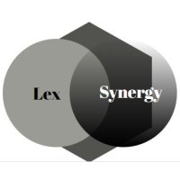 The Lex Synergy logo - Similar company to Edturn