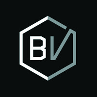 BV Fasteners Limited logo - Similar company to Probolt Fasteners Ltd