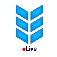 Vanzys logo - Similar company to We