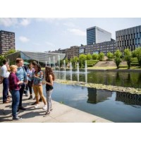 Psychology Program Committee of EUR logo - Similar company to Connect Mentor Project