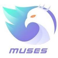 Muses Fun logo - Similar company to Pluggdin