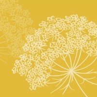 DAUCUM - Werkstatt für Biodiversität  - Planen, Beraten & Forschen logo - Similar company to Lehr- Und Versuchsanstalt Für Gartenbau Und Arboristik E.V.