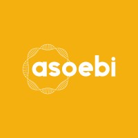 ASOEBI logo - Similar company to The Asoebi Company