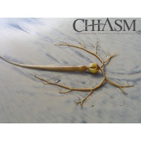 Chiasm: Byu Undergraduate Research Journal Of Neuroscience
