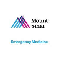 Department of Emergency Medicine at Mount Sinai logo - Similar company to Shifting Frames Consulting