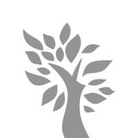 Signal Tree Solutions Llc