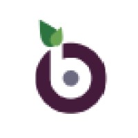 BlackPlum logo - Similar company to Cerius Consulting Group