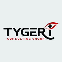 Tyger i Consulting Group logo - Similar company to Fickle Pickles