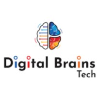 Digital Brains Tech logo - Similar company to Delta Web Developers