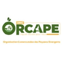 ONG ORCAPE logo - Similar company to Iresco