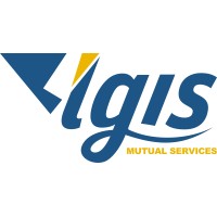 LGIS logo - Similar company to Councilfirst