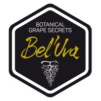 Bel'Uva logo - Similar company to E-Wines