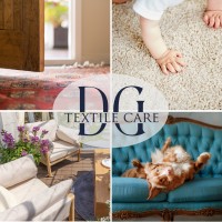 DG Textile Care logo - Similar company to Bsquare Textile