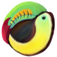 Believe in Belize logo - Similar company to Bcvi Belize