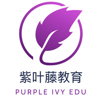 Purple Ivy International Education logo - Similar company to Adifiles - Study & Work Abroad