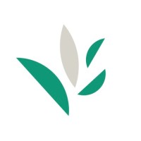 Decision Innovation Solutions logo - Similar company to Institute For Feed Education And Research (Ifeeder)