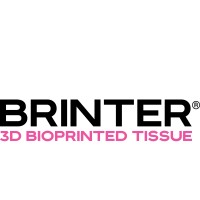 BRINTER logo - Similar company to Ateios Systems