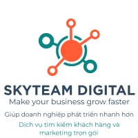 SkyTeam Digital logo - Similar company to Scalersengine