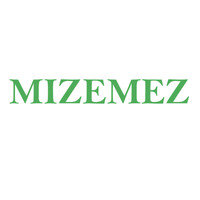 Mizemez IE logo - Similar company to Bijis Services