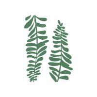 Freedom Walls logo - Similar company to Bom.Capital