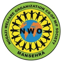 Nogazi Welfare Organization logo - Similar company to Solareye