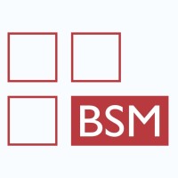BSM logo - Similar company to Svm Inter Collage