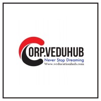 Corp. Veduhub logo - Similar company to The Tech Stone Consulting -Tsc