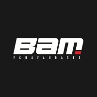 BAM : Location d'échafaudages logo - Similar company to Dampshop