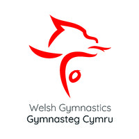 Welsh Gymnastics logo - Similar company to Ems Contracting