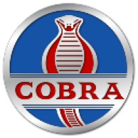 COBRA Softwares Private Limited logo - Similar company to Frizin Techsoft Pvt Ltd
