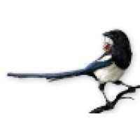 Magpie Software Inc. (Acquired By Tcgplayer.Com, August 2014)