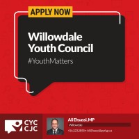 Willowdale Youth Council logo - Similar company to Tourette Canada