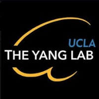 Brain Tumor and Nanotechnology Research Lab logo - Similar company to Exosomeplus