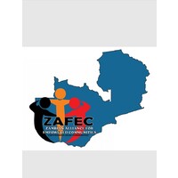 Zambia Alliance For Empowered Communities (Zafec)