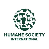 Humane Society International logo - Similar company to Four Paws