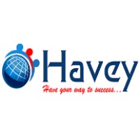 Havey Solutions logo - Similar company to Knt Technologies