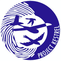 Project: Kestrel logo - Similar company to Project Hex