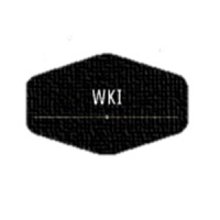 WKI logo - Similar company to Wkinformation