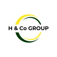 H&Co Group SARL logo - Similar company to Sils Sarl