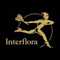 Interflora France logo - Similar company to Interflora Uk & Ireland