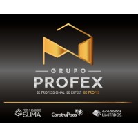 Grupo Profex logo - Similar company to 5Inco-Mx