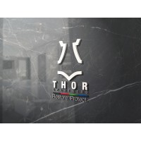 Thor and Partners Inc logo - Similar company to Sectus Technologies
