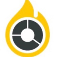Burnmark logo - Similar company to Intellee