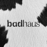 Badhaus logo - Similar company to The Ridge Studio