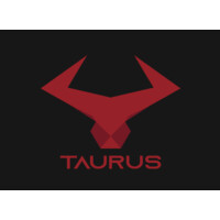 TAURUS CARS logo - Similar company to Rawest Research