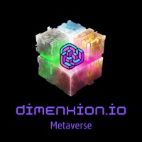 Dimenxion.io logo - Similar company to Dimenxion Technologies