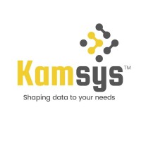 Kamsys Techsolutions India Private Limited logo - Similar company to Wetta Technology
